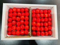 ココリコ遠藤嫁『まさか』