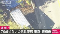 頭から血を流し倒れ…高齢男性死亡 青梅市