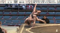三段目の18歳小兵力士、大型力士に衝撃の投げ！ 美しさと豪快さに館内どよめき