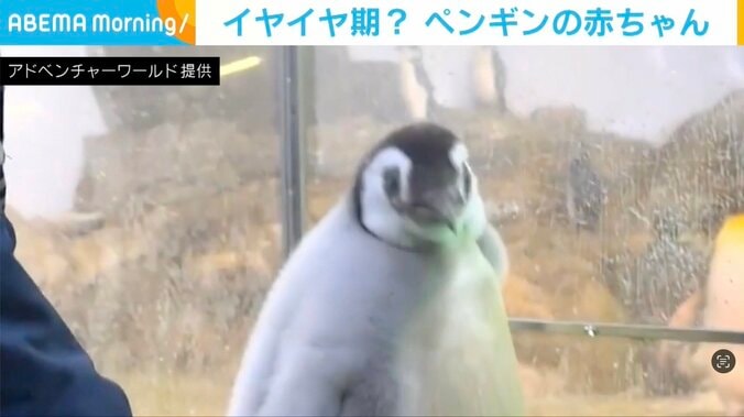 アドベンチャーワールド