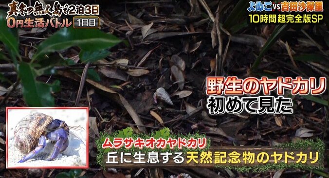 吉田沙保里、実は引退前に示唆していた“東京五輪”不出場「出られなかったときには…」 3枚目
