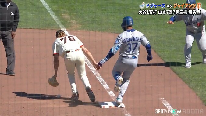 【写真・画像】　2枚目