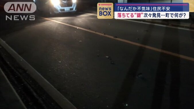 車道に何かが点々と…