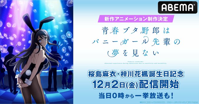 思春期ファンタジー『青春ブタ野郎はバニーガール先輩の夢を見ない』桜島麻衣の誕生日12月2日から配信開始！一挙放送も 1枚目