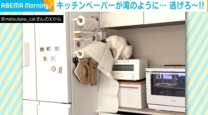 ネコのおでんくん