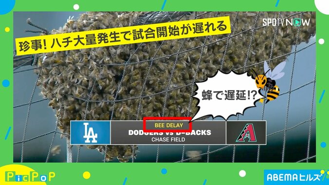 【写真・画像】ドジャース大谷選手、ダイヤモンドバックス戦のはずが…予期せぬ“対戦相手”！？ ハチの大量発生で試合開始遅れる　1枚目