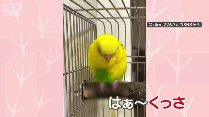 「くっさ！」においに文句？