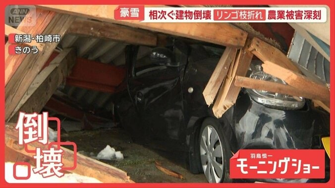 豪雪被害　車庫やアーケードが倒壊…死者30人に リンゴも深刻被害「心折れる」 1枚目