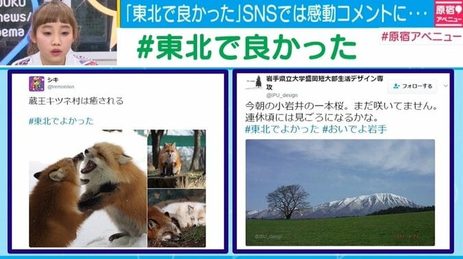 吉野新復興大臣、所信表明　Twitterで「#東北でよかった」広がる 2枚目