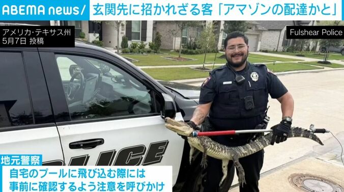 警察官、ワニ