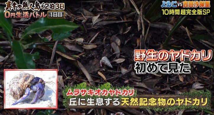 吉田沙保里、実は引退前に示唆していた“東京五輪”不出場「出られなかったときには…」