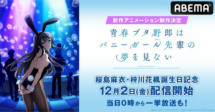 思春期ファンタジー『青春ブタ野郎はバニーガール先輩の夢を見ない』桜島麻衣の誕生日12月2日から配信開始！一挙放送も