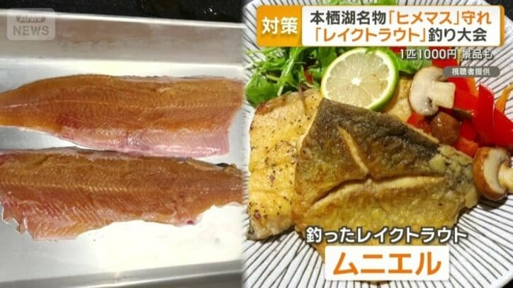 釣ったレイクトラウトをムニエルに
