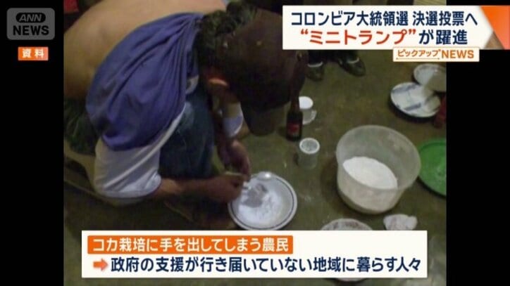 コカ栽培に手を出してしまうのは…
