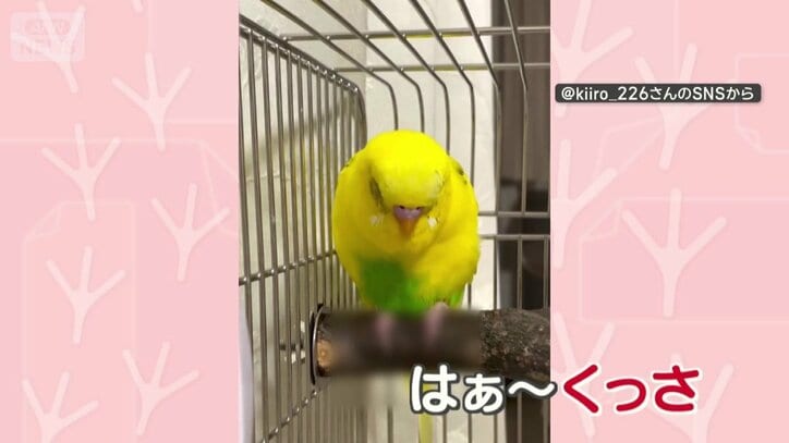 「くっさ！」においに文句？