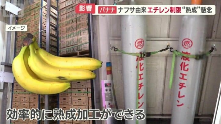 バナナの熟成には欠かせないエチレンガス