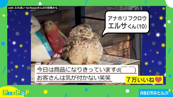 “商品になりきる”様子