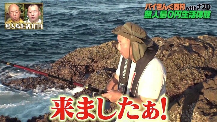 「高級魚がこんな釣れるのか…」バイきんぐ西村、無人島“釣り天国”に驚き