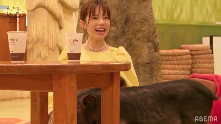 島崎遥香「今までで一番お互いが楽しめた」佐野岳とのミニブタカフェデートで心開く『私たち結婚しました3』第4話