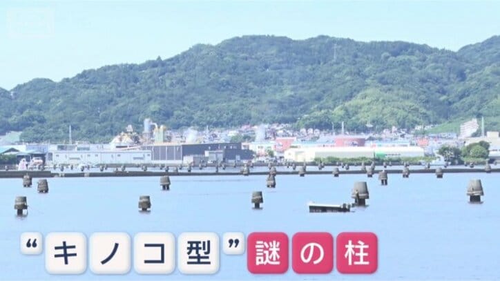 上部の高さは1メートルほど
