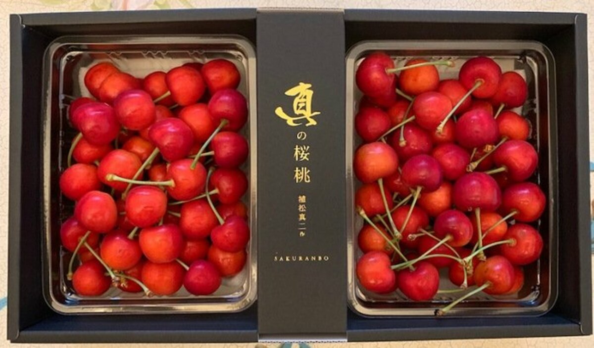 假屋崎省吾、1粒3000円の“超高級”サクランボを絶賛「世界一美味しい