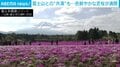 富士山との“共演”も…色鮮やかな芝桜が満開