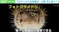 3Dの“デジタル生物標本”を無償で公開 生粋の現場主義者が「オープンサイエンス」を推進する目的