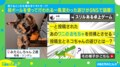 “グサッ…！”覚悟で挑むスリルなゲーム！？愛猫が“ワニのおもちゃ”のように飛び出す姿が「スリル満点」「モゾモゾしてるのが怖さを増してるw」と反響続々