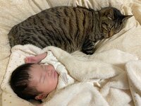 村田綾『成長の日々。』