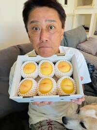 坂上忍『岡山の桃！』