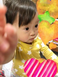 キンタロー。『ノラ姉さんから。。☆』