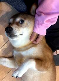 尾形あい『それでは、母さん頑張ってきます。』