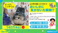 おいしさに気付いた瞬間のチンチラの表情