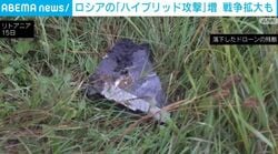 ロシアの「ハイブリッド攻撃」増 戦争拡大も
