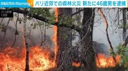パリ近郊での森林火災 新たに46歳男を逮捕