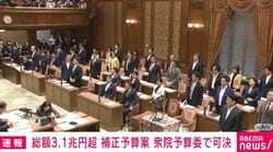 総額3.1兆円超 補正予算案 衆院予算委で可決