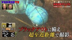 サメに襲われる危険も顧みず…ナスD、海の中で巨大ダコと繰り広げた死闘