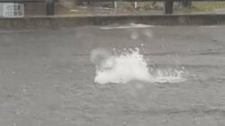 秋雨前線停滞で各地に激しい雨　川のような道路　国道のマンホールから水噴き出す