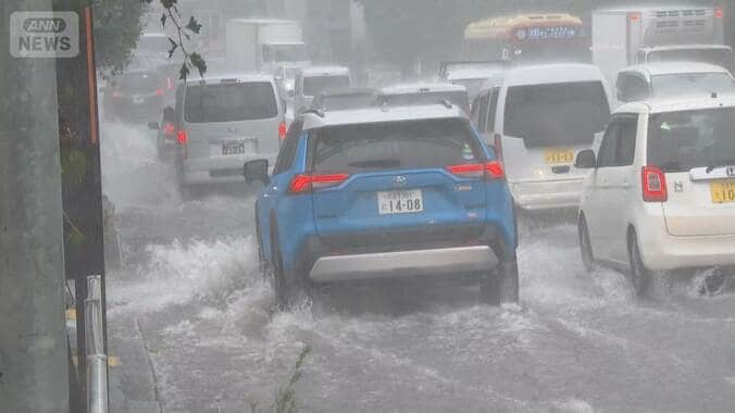 栃木県佐野市と足利市に緊急安全確保発令　土砂崩れで住宅倒壊…高齢夫婦と連絡取れず 1枚目