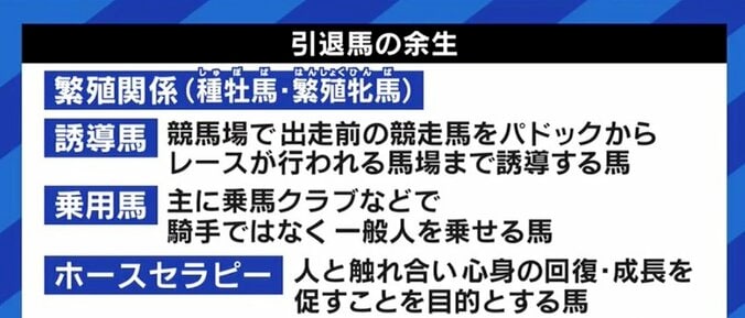 「走れなくなっただけでお肉にしてしまうのはもったいない」馬刺し・家畜の餌になるケースも…競走馬、年間1万頭の“余生”を考える 4枚目