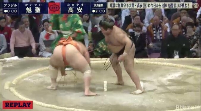 安定感たっぷり　高安が横綱・大関陣で唯一の3連勝　魁聖を一蹴 1枚目