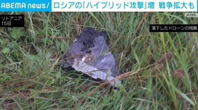リトアニア