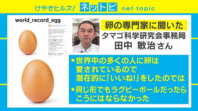 インスタ「いいね！」世界記録更新はまさかの“卵”、タマゴ専門家の見解は 3枚目