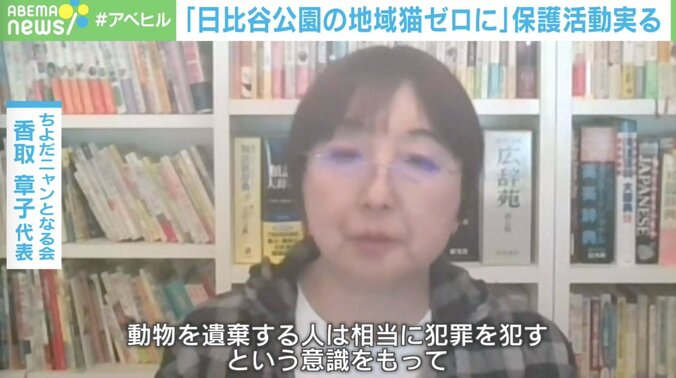 「動物遺棄は犯罪という意識を」日比谷公園 60匹以上の“地域猫”がゼロに…20年に及ぶ活動 2枚目