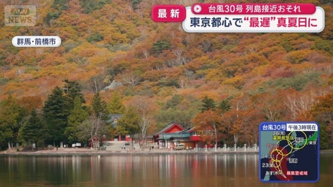 快適に過ごせる紅葉スポット