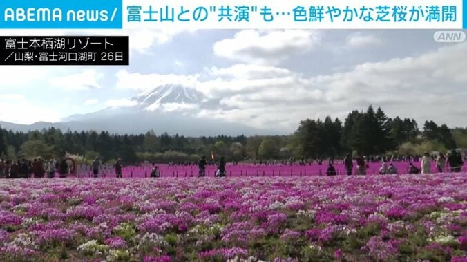 富士本栖湖リゾート