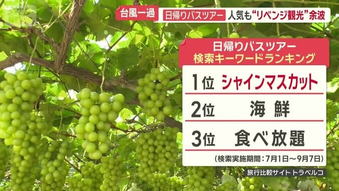 人気の「シャインマスカット狩り」