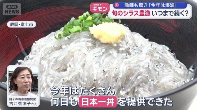 生シラスをこれでもかとのせた「日本一丼」
