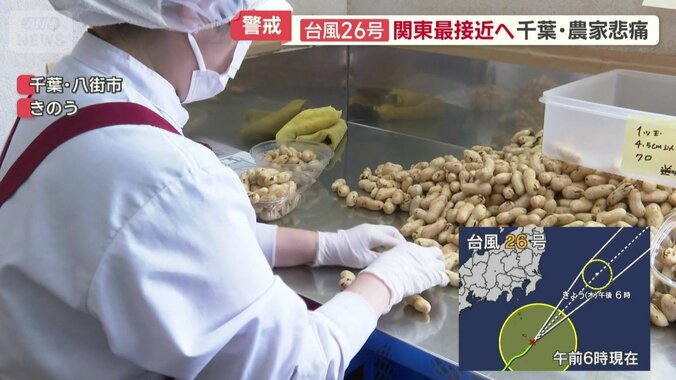 火でいり選別などを行って製品化
