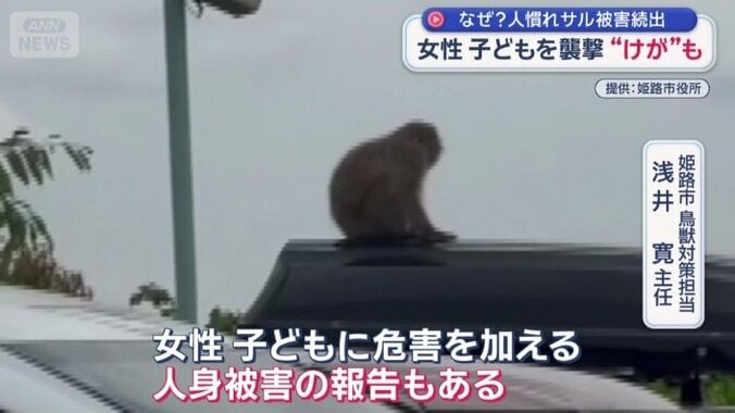 「女性、子どもに危害を加える」
